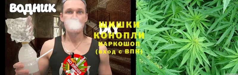 Шишки марихуана THC 21%  купить закладку  Биробиджан 